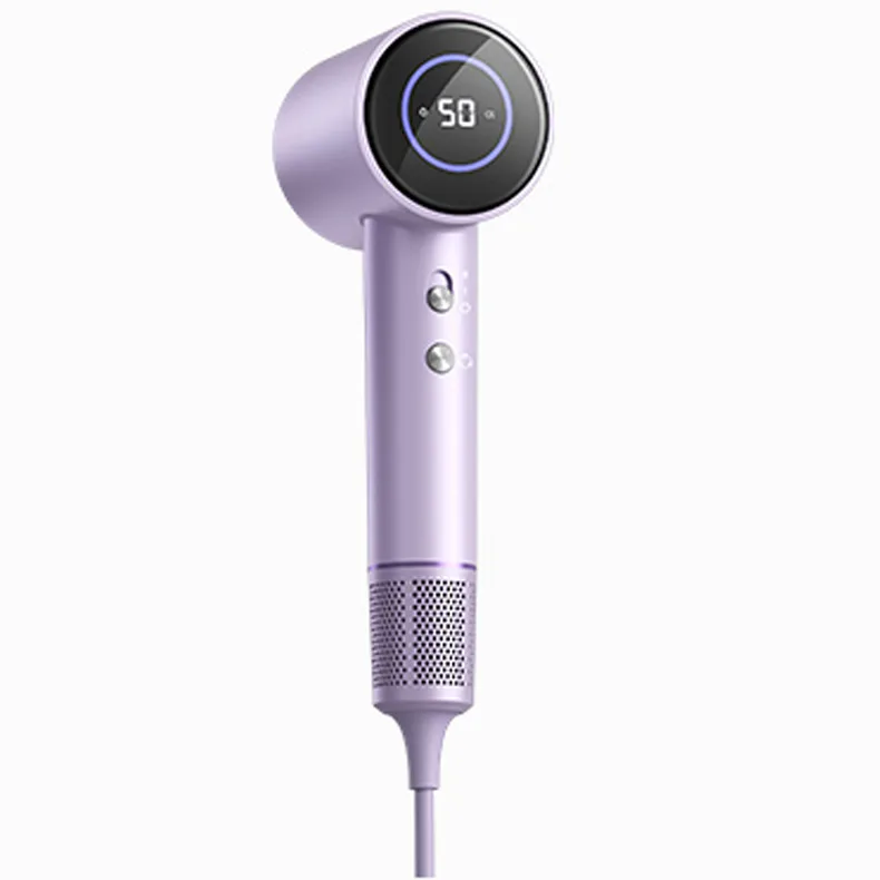 Factory Wholesale Professional Ionic DC Electric Hairdryer High-Power High Speed Brushless Motor Concentrator Household RV