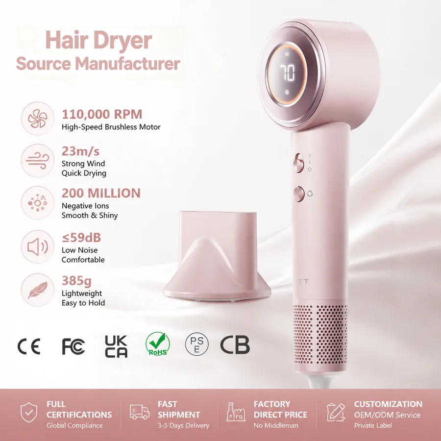 High Speed BLDC Brushless Ionic Electric-Powered Household Hair Dryer with 2 Speed/4 Heat Settings for Hotel Use