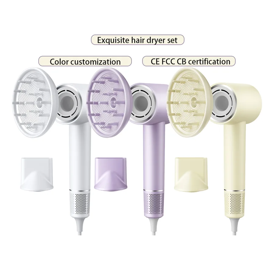 2025 Professional High Speed 110000rpm Ionic Hair Dryer Brushless DC Motor Household RVs Outdoor Use Electric Plastic